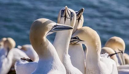 九游娱乐官方网站-青年运动员成长环境持续优化，青年运动员成长环境持续优化措施