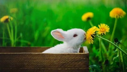 Jiuyou Sports-“舞动灵魂，竞技极限：金牛区城北体育馆迎来2025世界运动会运动舞蹈赛事！”