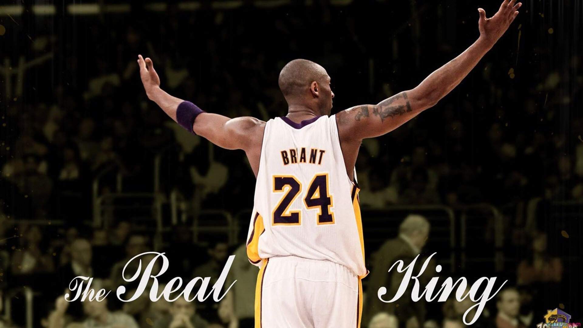 【伤病困扰】主力球员缺阵对比赛的影响,nba球员因伤缺阵有工资吗